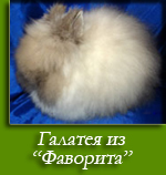 Посмотреть Галатея